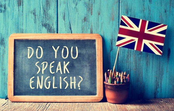 Lingua